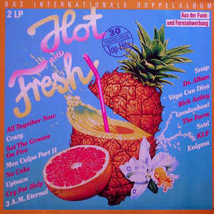 Vinyl-LP Various-Hot And Fresh - Das Internationale Doppelalbum